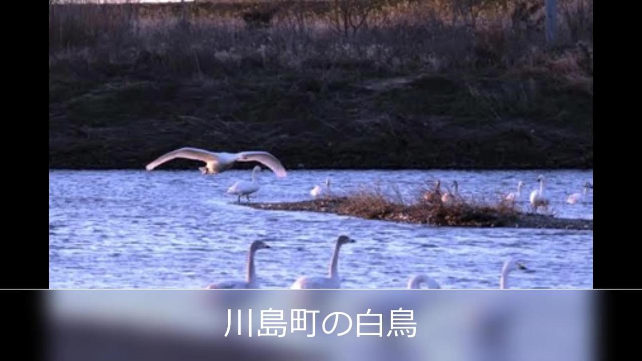 Le Ciel Spa & Resort (Adults Only) Tsurugashima Esterno foto